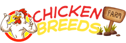 Chicken Breeds Farm